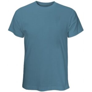 RS-TS-1003- Trendy T-Shirt Wholesale